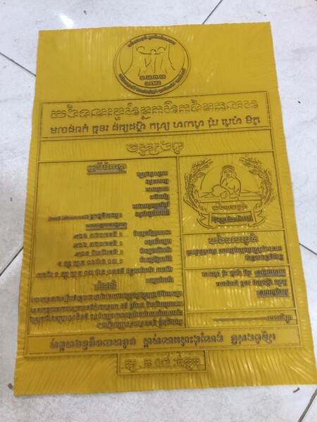 Bản in polymer