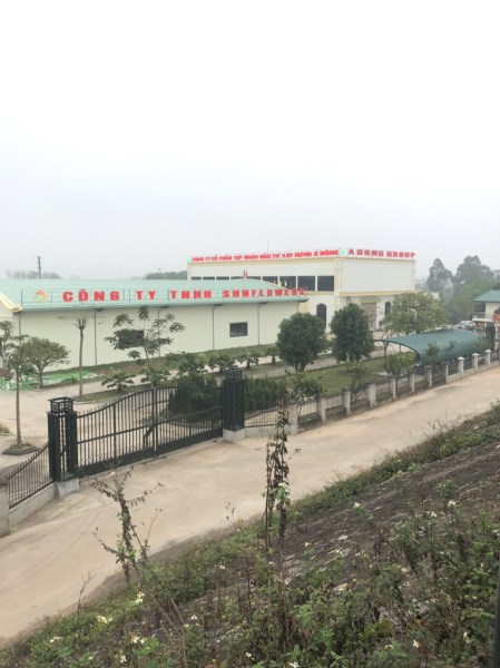 Bảng hiệu công ty