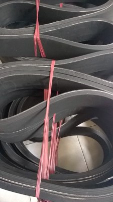 Băng tải chuyên dụng