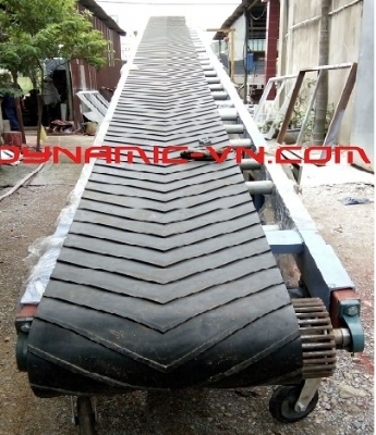 Băng tải nâng hạ