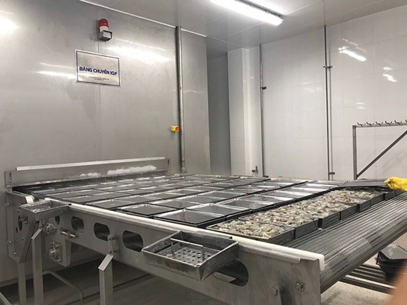 Băng chuyền cấp đông bằng IQF