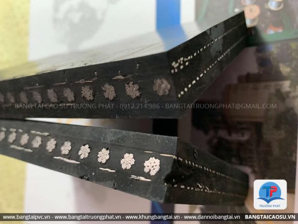 Băng tải cáp thép
