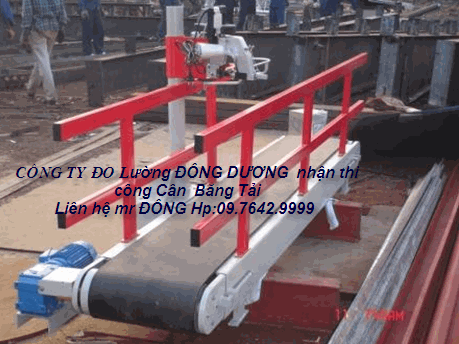 Cân băng tải có khâu bao