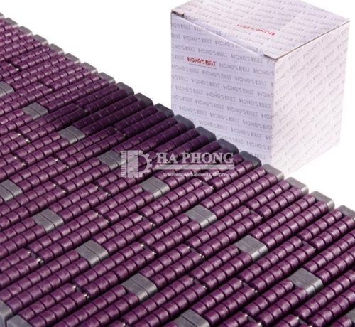 Băng tải nhựa Hongs Belt HS LBP1005