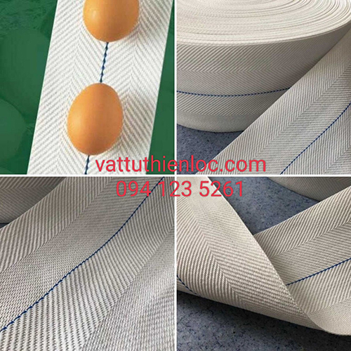 Băng tải trứng gà