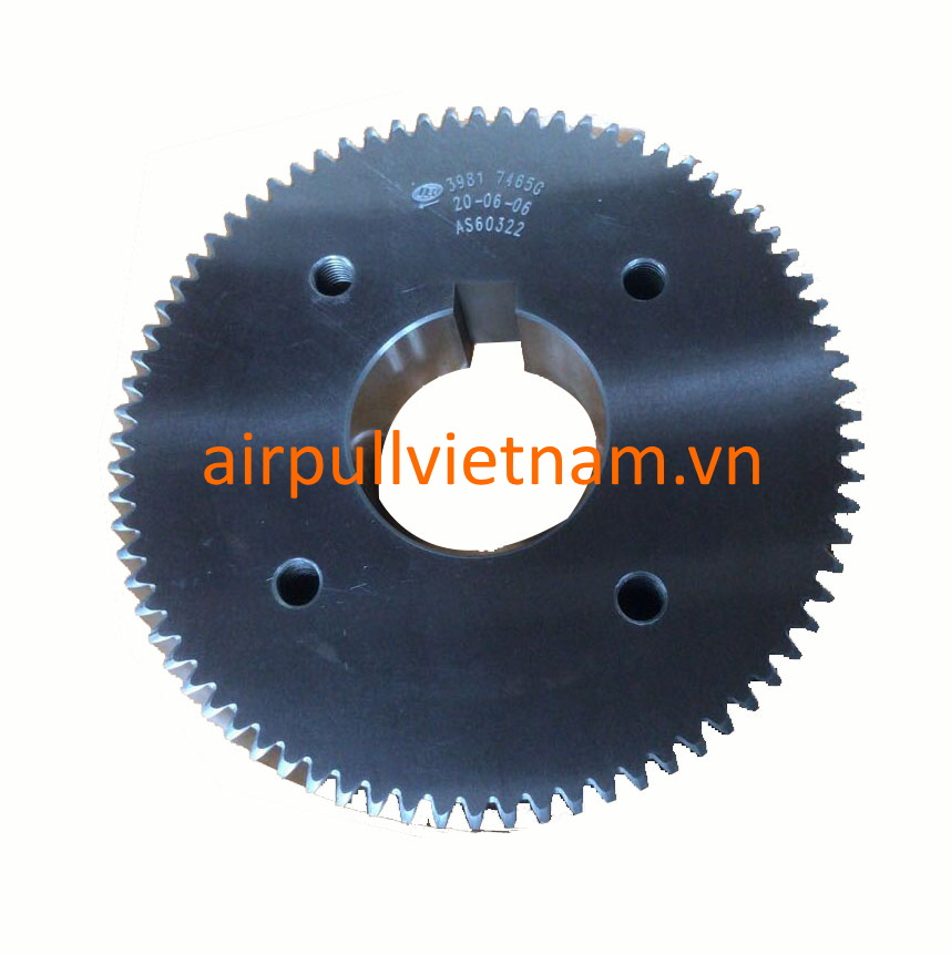 Bánh răng Ingersoll rand 39817465