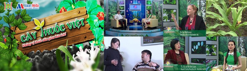 Banner Cây Thuốc Việt