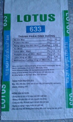 Bao PP dệt