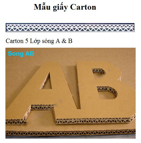 Bìa carton 5 lớp