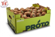 Bao bì sản phẩm carton