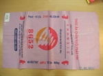 Bao bì PP