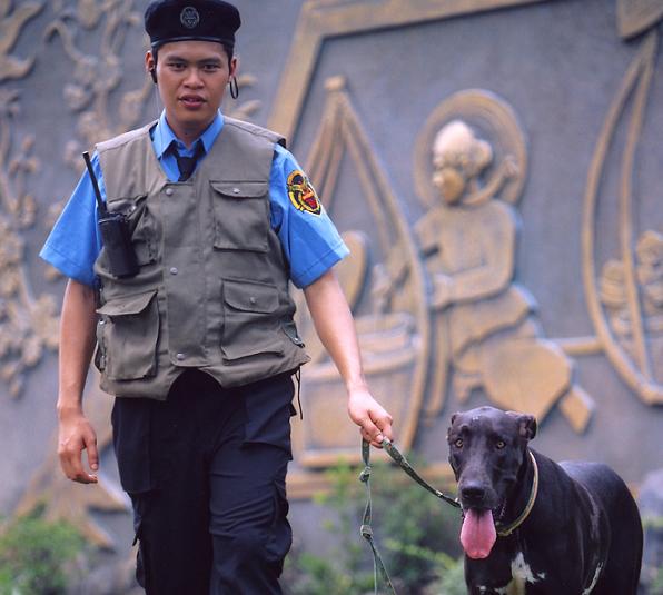 Bảo vệ chuyên nghiệp