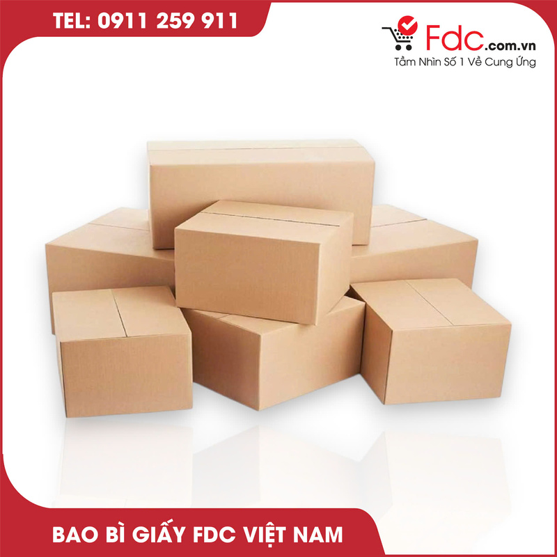 Bao bì carton