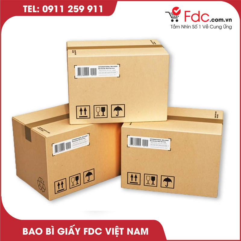 Bao bì carton