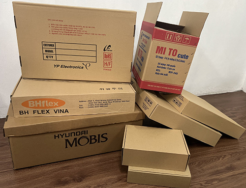 Bao bì carton