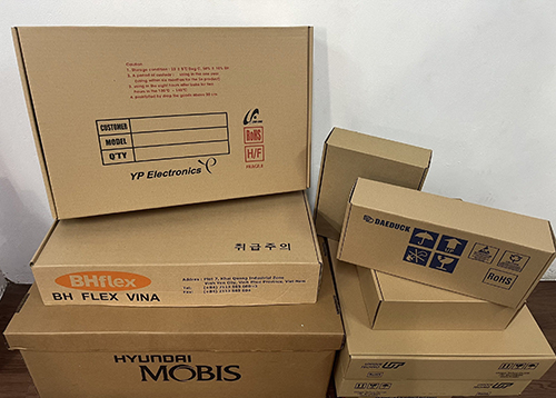 Bao bì carton