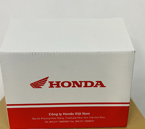 Bao bì carton