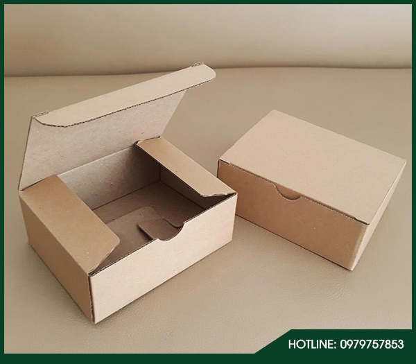 Bao bì carton