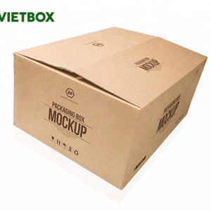Bao bì Carton in Flexo