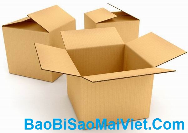 Bao bì carton