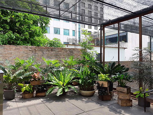 Bảo dưỡng chăm sóc cảnh quan