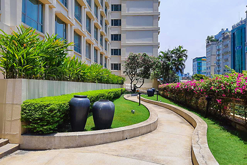 Bảo dưỡng chăm sóc cảnh quan