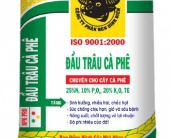 Bao PP tráng