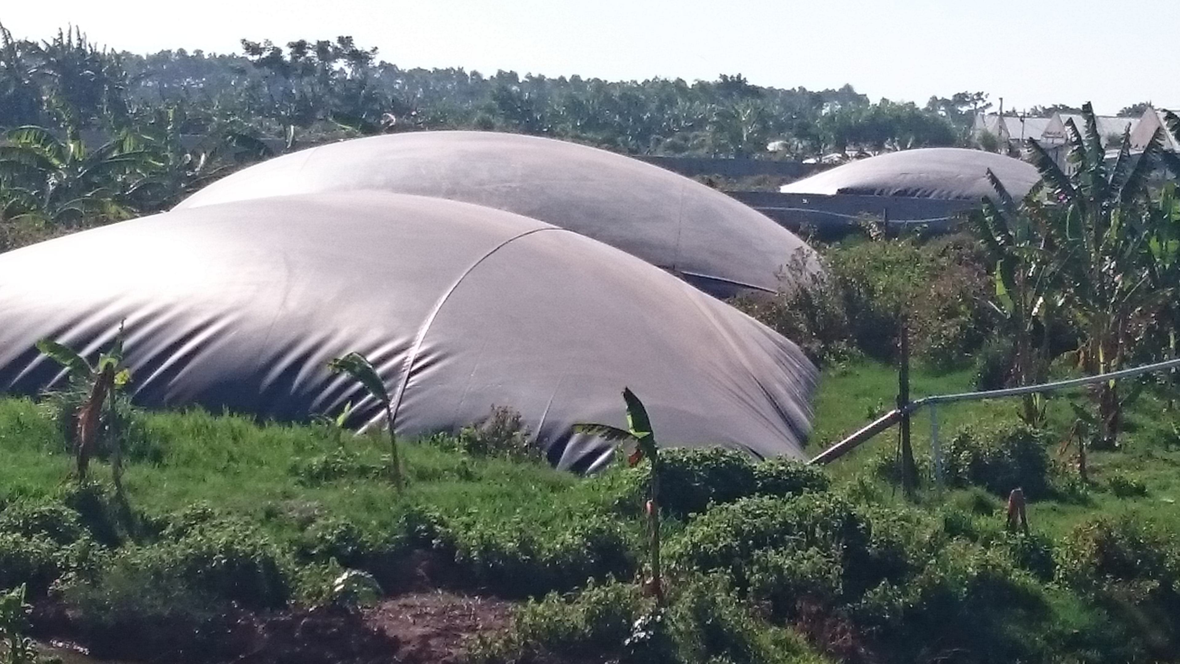bat lot ho biogas