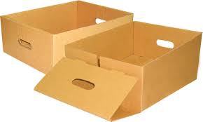 Bao bì carton