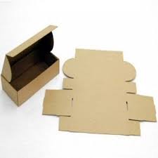 Bao bì carton