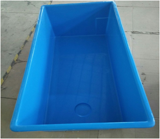Bể cá coi Nhật Bản