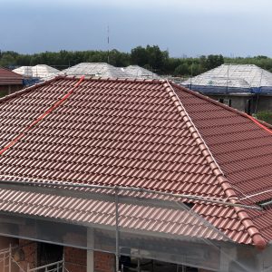 Băng xích chuyền khuôn dọc