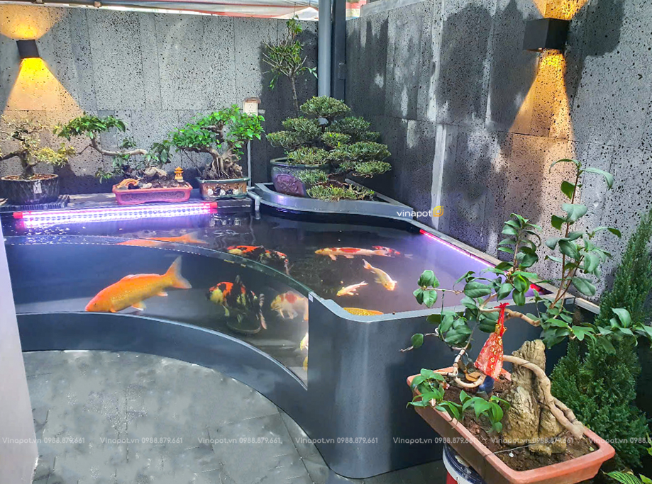 Bể cá Composite kính cong
