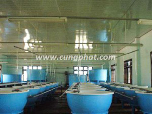 Bể nuôi trồng thủy sản Composite FRP