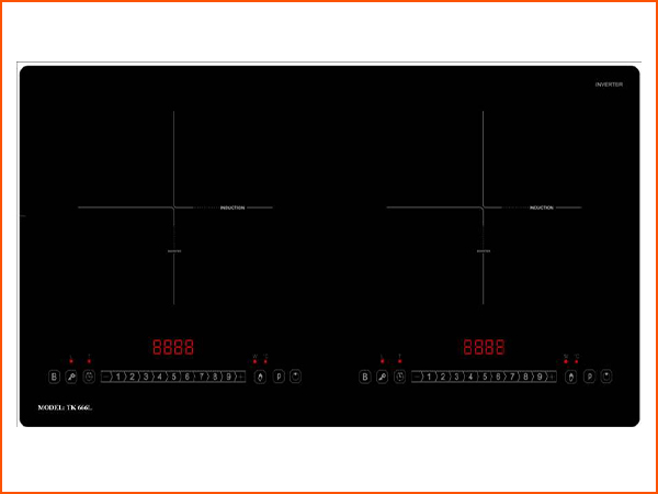 Bếp từ đôi TK 666I
