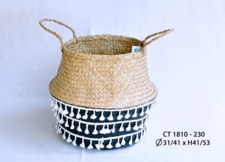 Bị cói