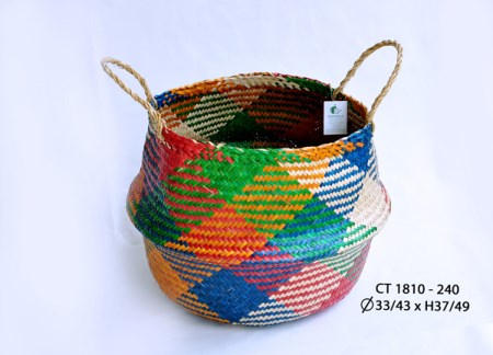 Bị cói