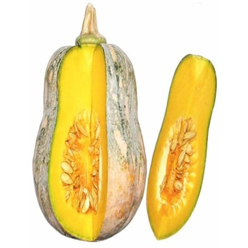 Bí đỏ