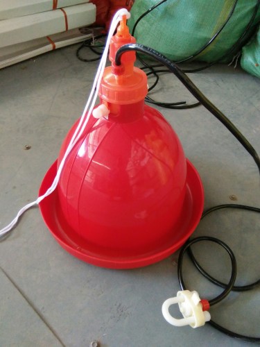 Bình uống tự động 8 chi tiết