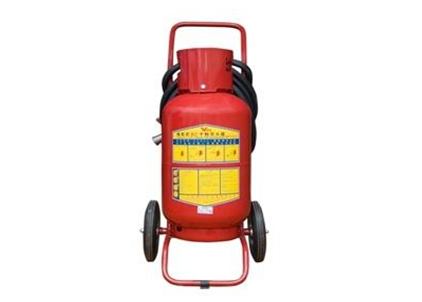 Bình chữa cháy bột BC MFZT35