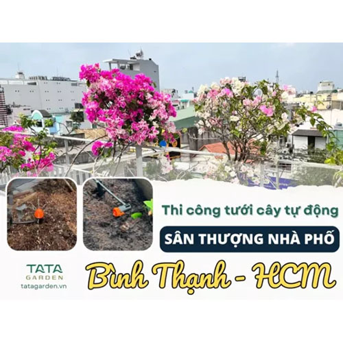 Thi công hệ thống tưới cây Bình Thạch