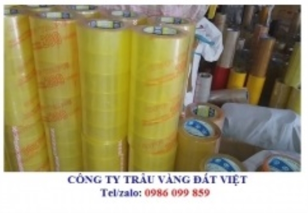 Băng keo vàng chanh