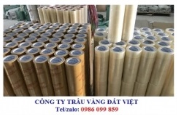 Băng keo vàng đục