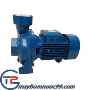 Bơm nước tưới cây