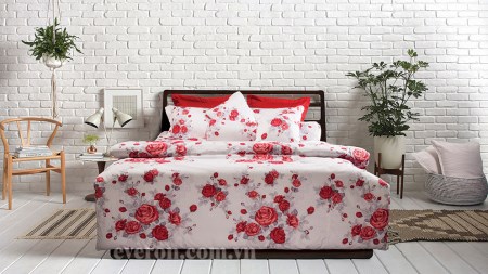 Bộ chăn ga Cotton Twill