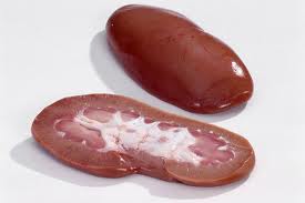 Bồ dục