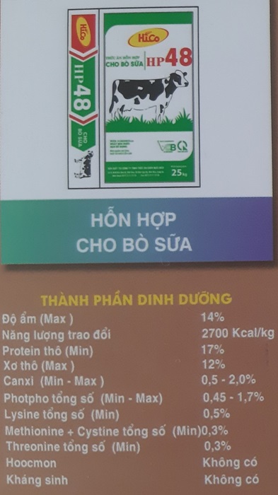 Hỗn hợp cho bò sữa