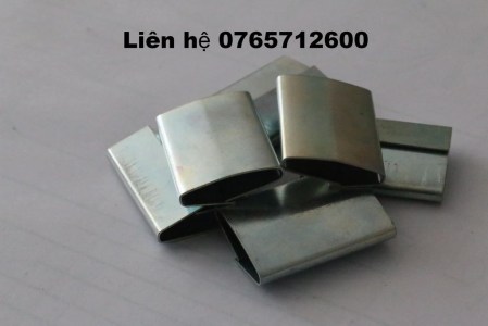 Bọ sắt