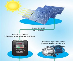 Giải pháp bơm tưới năng lượng mặt trời