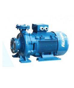 Bơm điện liền trục Windy